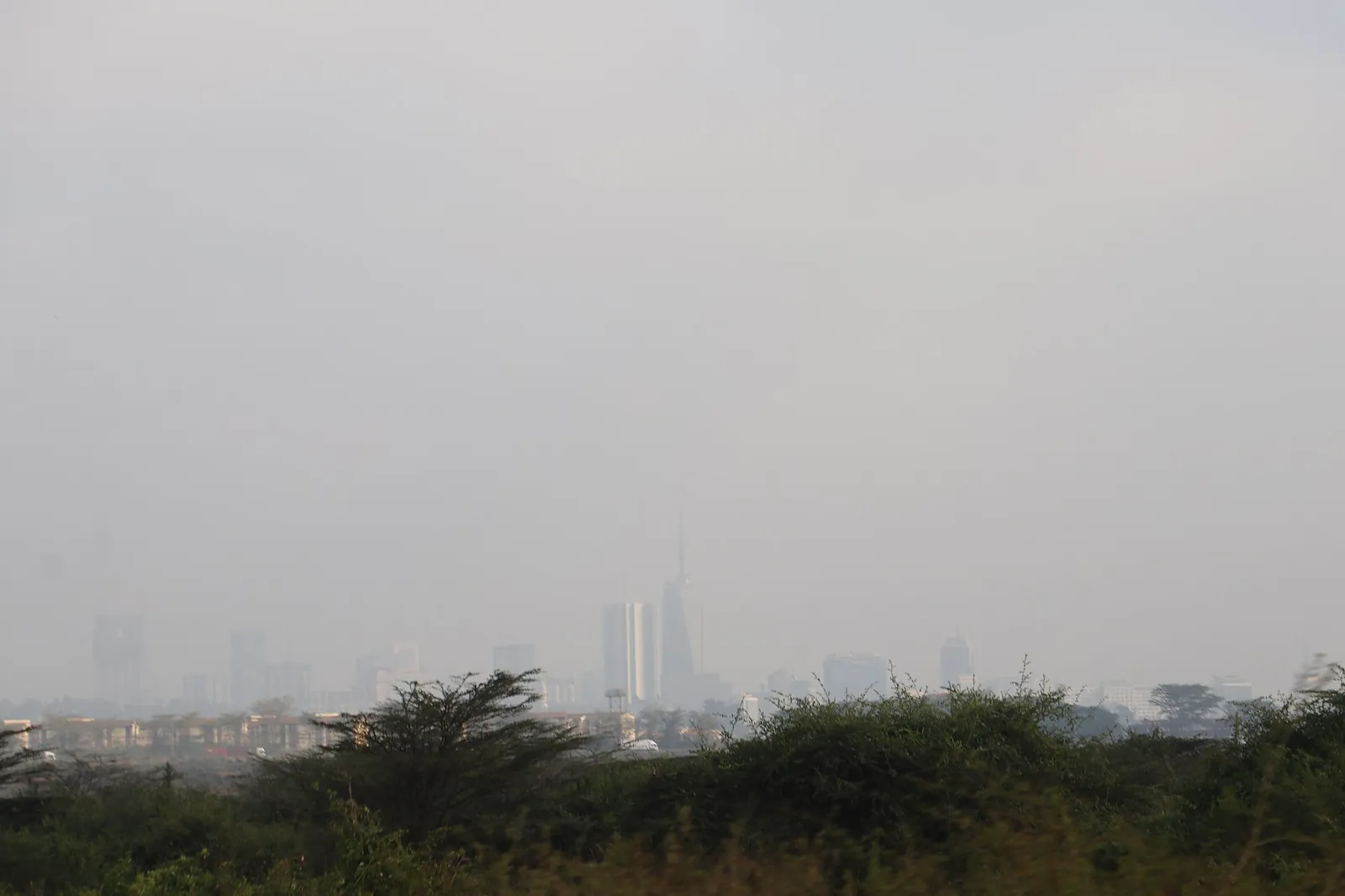 Nairobi skyline seen across the national park